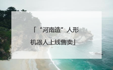 “河南造”人形机器人上线售卖