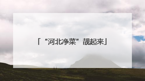 “河北净菜”靓起来