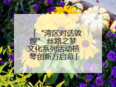 “湾区对话敦煌” 丝路之梦文化系列活动横琴创新方启幕