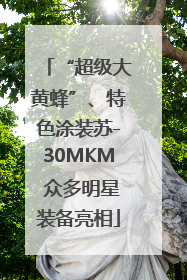 “超级大黄蜂”、特色涂装苏-30MKM 众多明星装备亮相