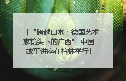 “跨越山水：德国艺术家镜头下的广西” 中国故事讲座在柏林举行