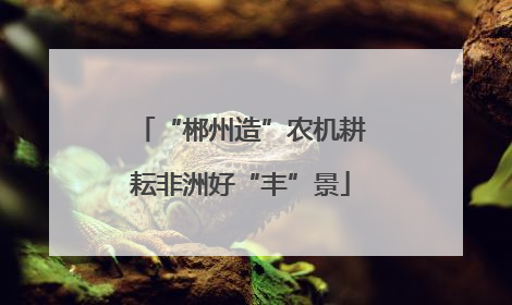 “郴州造”农机耕耘非洲好“丰”景