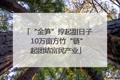 “金笋”撑起甜日子 10万亩方竹“链”起团结富民产业