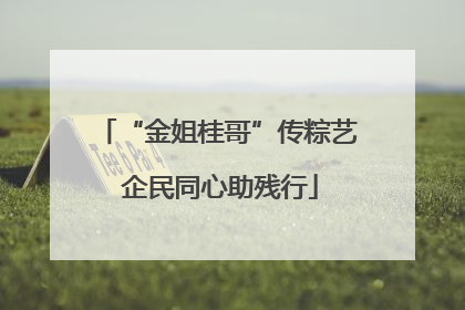 “金姐桂哥”传粽艺 企民同心助残行