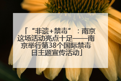 “非遗+禁毒”：南京这场活动亮点十足——南京举行第38个国际禁毒日主题宣传活动