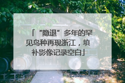“隐退”多年的罕见鸟种再现浙江，填补影像记录空白