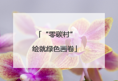 “零碳村” 绘就绿色画卷