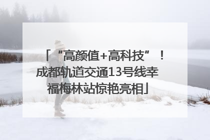 “高颜值+高科技”！成都轨道交通13号线幸福梅林站惊艳亮相