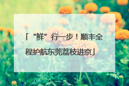 “鲜”行一步！顺丰全程护航东莞荔枝进京