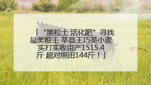 “黑松土 活化肥”寻找最美粮王 莘县王巧英小麦实打实收亩产1515.4斤 超对照田144斤！