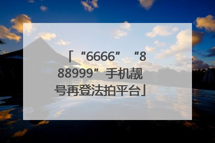 “6666”“888999”手机靓号再登法拍平台