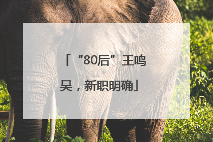 “80后”王鸣昊，新职明确