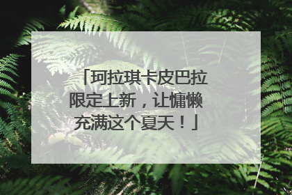 珂拉琪卡皮巴拉限定上新，让慵懒充满这个夏天！
