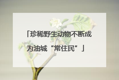 珍稀野生动物不断成为油城“常住民”