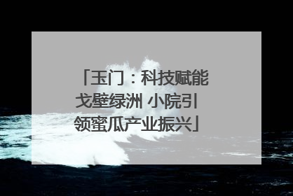 玉门：科技赋能戈壁绿洲 小院引领蜜瓜产业振兴
