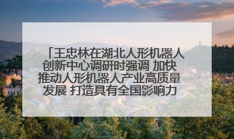 王忠林在湖北人形机器人创新中心调研时强调 加快推动人形机器人产业高质量发展 打造具有全国影响力的研发创新基地