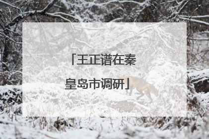 王正谱在秦皇岛市调研