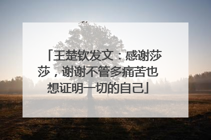 王楚钦发文：感谢莎莎，谢谢不管多痛苦也想证明一切的自己