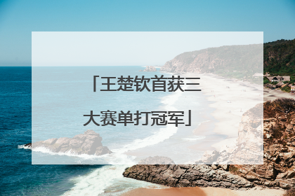王楚钦首获三大赛单打冠军