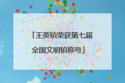 王英镇荣获第七届全国文明镇称号