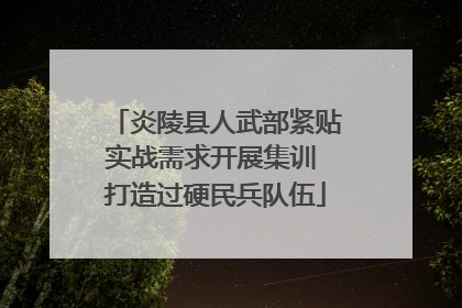 炎陵县人武部紧贴实战需求开展集训 打造过硬民兵队伍