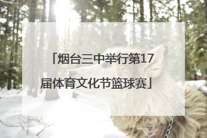 烟台三中举行第17届体育文化节篮球赛