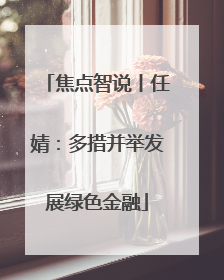 焦点智说丨任婧：多措并举发展绿色金融