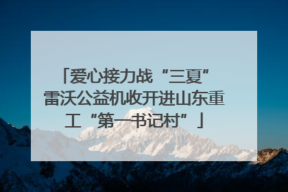 爱心接力战“三夏” 雷沃公益机收开进山东重工“第一书记村”