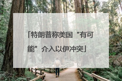 特朗普称美国“有可能”介入以伊冲突