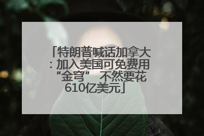 特朗普喊话加拿大：加入美国可免费用“金穹” 不然要花610亿美元