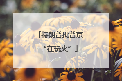 特朗普批普京“在玩火”