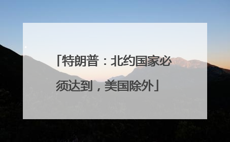 特朗普：北约国家必须达到，美国除外