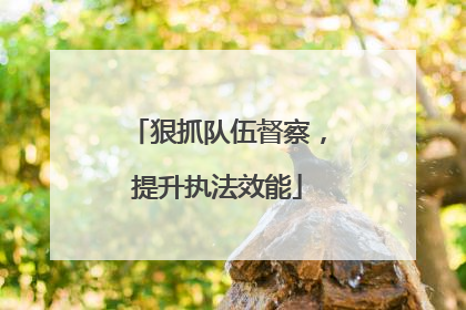 狠抓队伍督察，提升执法效能