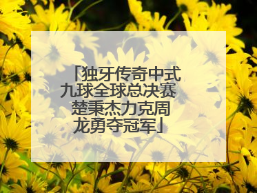 独牙传奇中式九球全球总决赛 楚秉杰力克周龙勇夺冠军