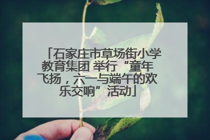 石家庄市草场街小学教育集团 举行“童年飞扬，六一与端午的欢乐交响”活动