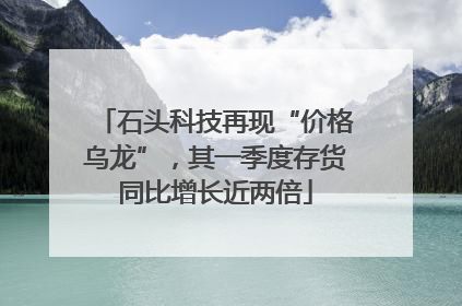 石头科技再现“价格乌龙”，其一季度存货同比增长近两倍