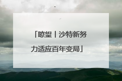 瞭望丨沙特新努力适应百年变局