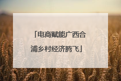 电商赋能广西合浦乡村经济腾飞