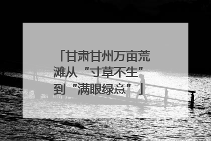 甘肃甘州万亩荒滩从“寸草不生”到“满眼绿意”