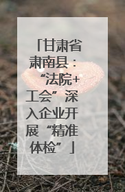 甘肃省肃南县：“法院+工会”深入企业开展“精准体检”