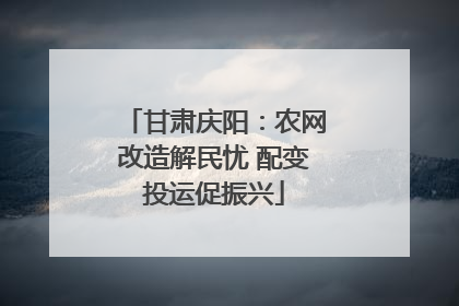 甘肃庆阳：农网改造解民忧 配变投运促振兴