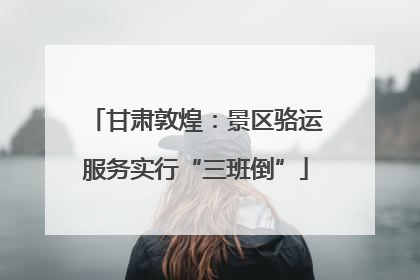 甘肃敦煌：景区骆运服务实行“三班倒”