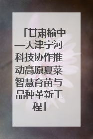 甘肃榆中—天津宁河科技协作推动高原夏菜智慧育苗与品种革新工程
