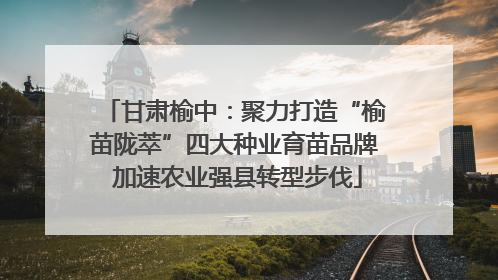 甘肃榆中：聚力打造“榆苗陇萃”四大种业育苗品牌 加速农业强县转型步伐