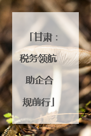 甘肃：税务领航 助企合规前行