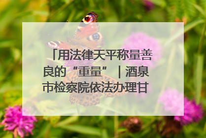 用法律天平称量善良的“重量”｜酒泉市检察院依法办理甘肃首例社区矫正对象见义勇为减刑案