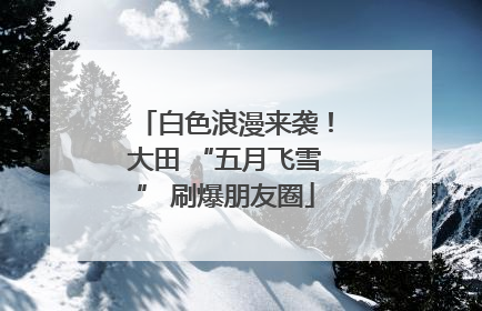白色浪漫来袭！大田 “五月飞雪” 刷爆朋友圈
