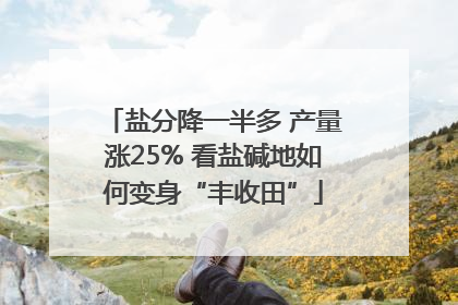 盐分降一半多 产量涨25% 看盐碱地如何变身“丰收田”