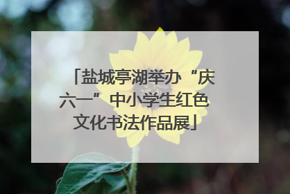 盐城亭湖举办“庆六一”中小学生红色文化书法作品展