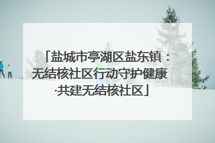 盐城市亭湖区盐东镇：无结核社区行动守护健康 ·共建无结核社区